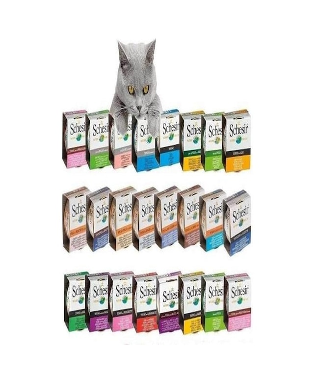 Schesir Karışık Kedi Konserve Maması 24 Adet