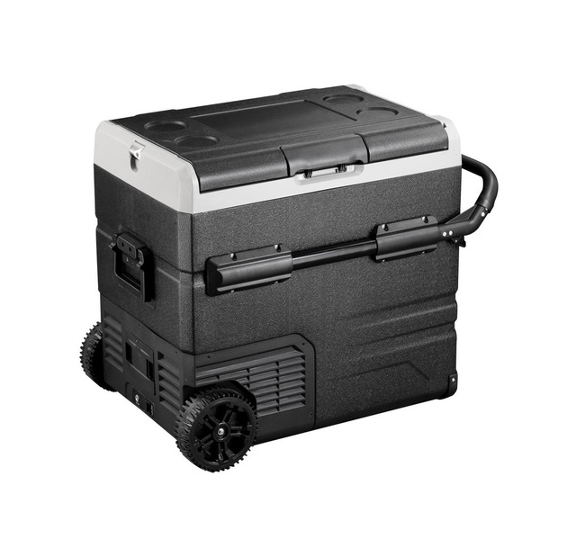 Icepeak Walmer Kompresörlü Buzdolabı 60 Litre-siyah