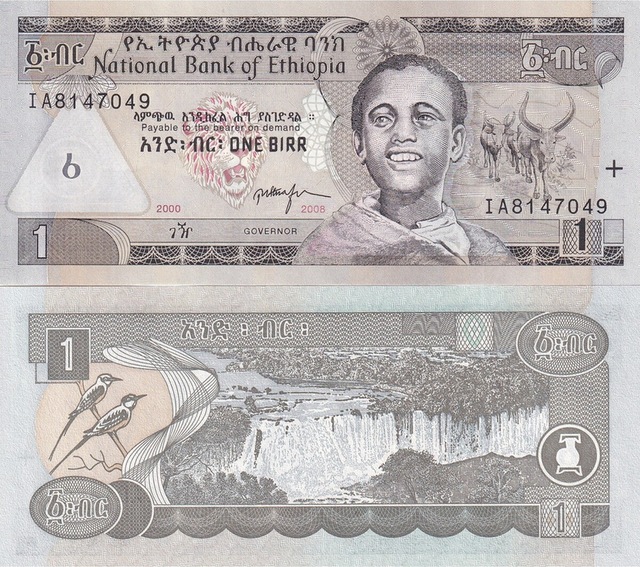 Etiyopya 2008 Yılı 1 Bırr Yabancı Kağıt Para Çil Unc Koleksiyon Para