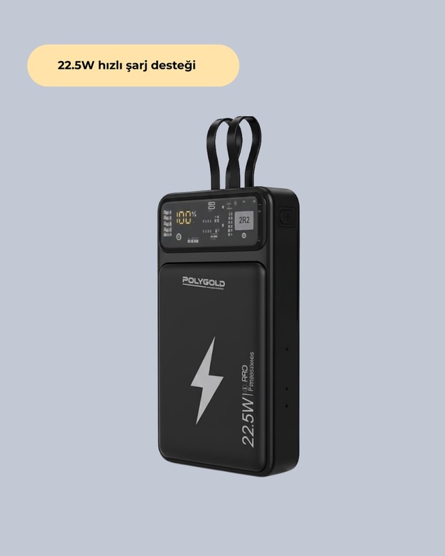Pgpw10 Powerbank - Lisinya