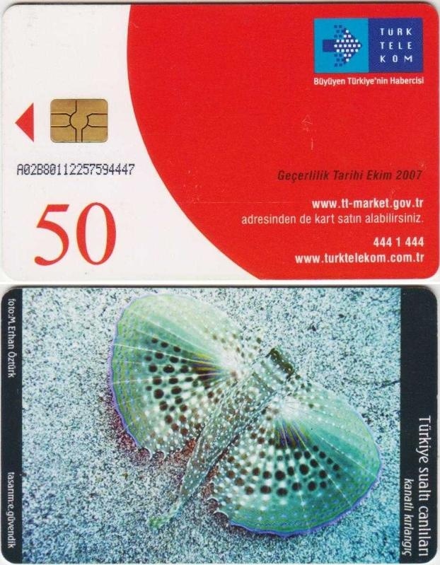 Kanatlı Kırlangıç Çipli Telefon Kartı 50 Kontör Türk Telekom. Teşhir Ürün