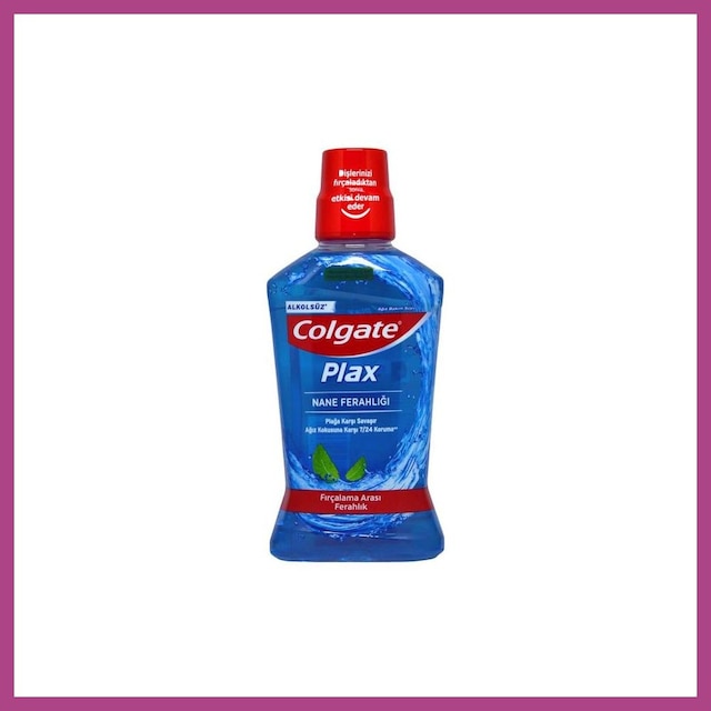 Gees Global Nane Ferahlığı Ağız Suyu 500ml 1 Adet Gbzs