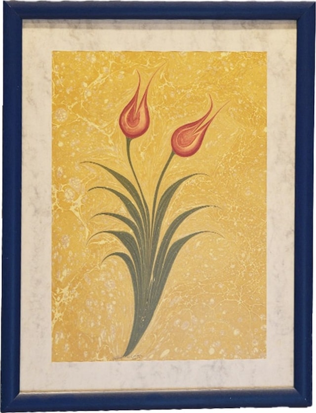 Ebru Tablo (544152161)