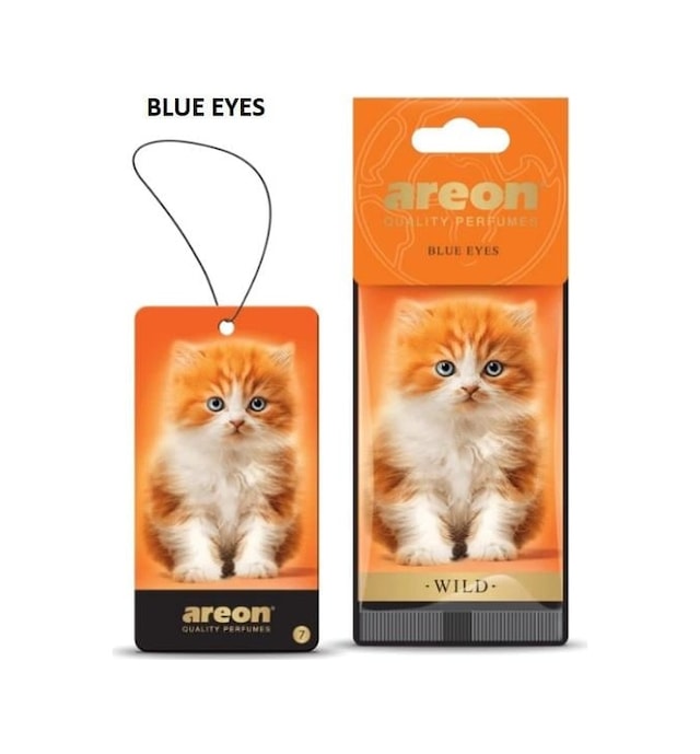 Areon Blue Eyes Koku Asma Kağıt Wıld