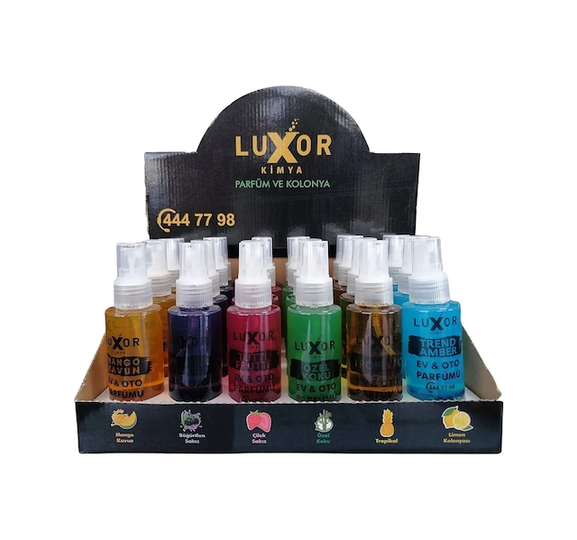 Luxor 24 Adet 100 Ml Ev & Oto Koku Seti Özel Kutulu