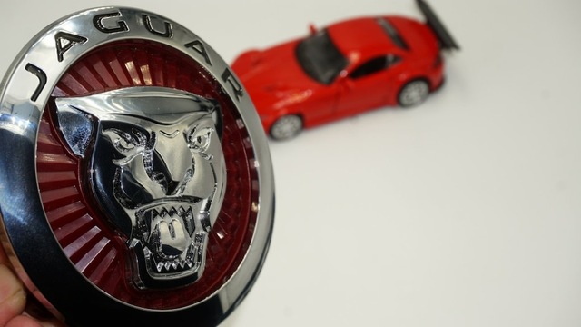 Jaguar Xe Ön Panjur Izgara Panter 3M 3D Logo 100Mm