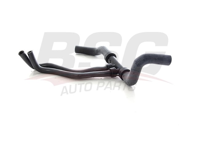 Bsg Radyator Hortumu Alt - Megane Iı/scenıc Iı 03-