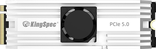 KingSpec Kingspecvp101-1tbpcie5-10000 Okuma 10000 MB/s Yazma 10000 MB/s