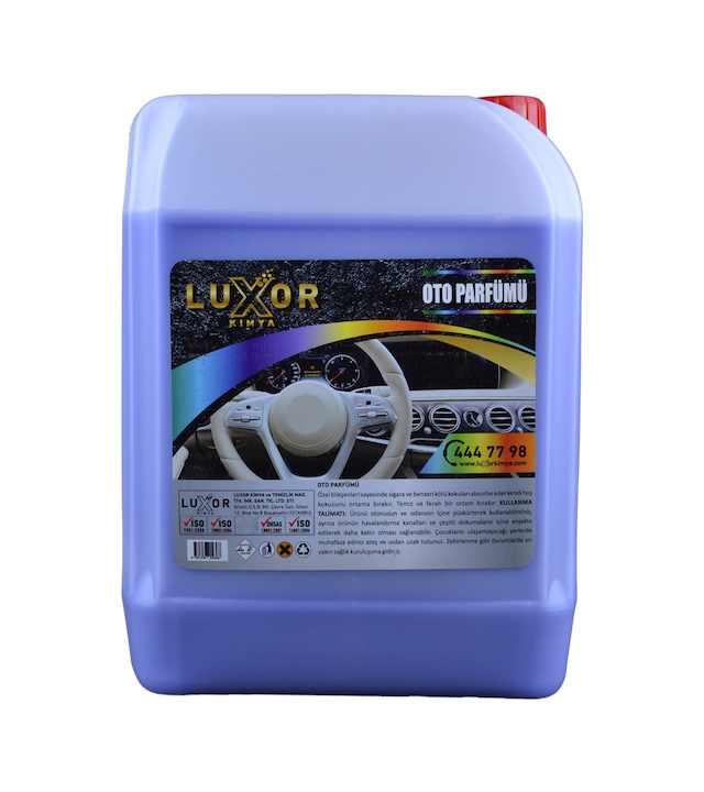 Luxor Kimya Böğürtlen Sakız Oto Kokusu 5 L