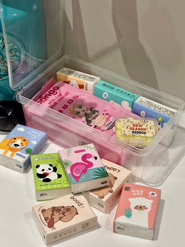Pratik Hijyen Seti-9 Paket Kağıt Mendil - 8 Paket Mini Islak Mendil - Sihirli Sabun + Saklama Kabı