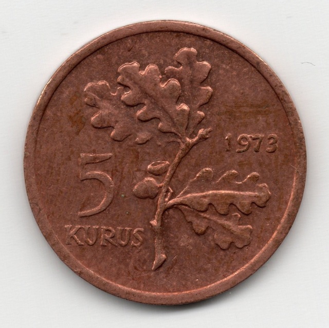 5 Kuruş 1973 Çil Eski Madeni Para