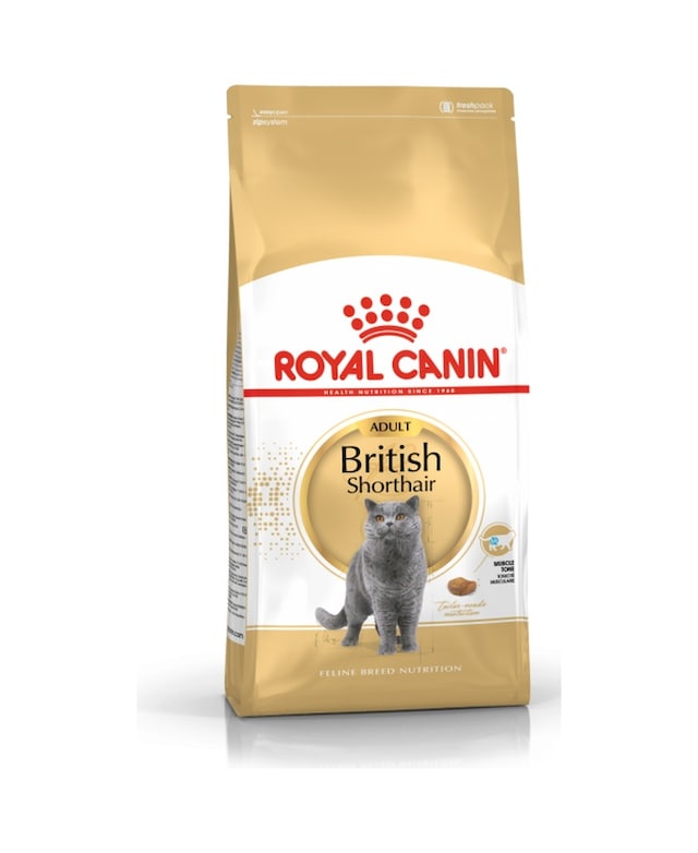 Royal Canin British Shorthair Yetişkin Kedi Maması 2 KG