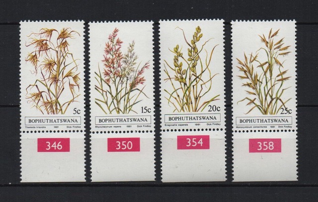 Güney Afrika Bophuthatswana 1981 Yerli Otlar 5-15-20-25 Cent Tam Seri Lt0031b Teşhir Ürün