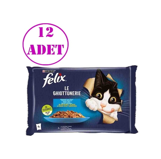 Felix Multipack Somonlu ve Ton Balıklı Yetişkin Kedi Yaş Maması 4 x 85 G 12 Adet