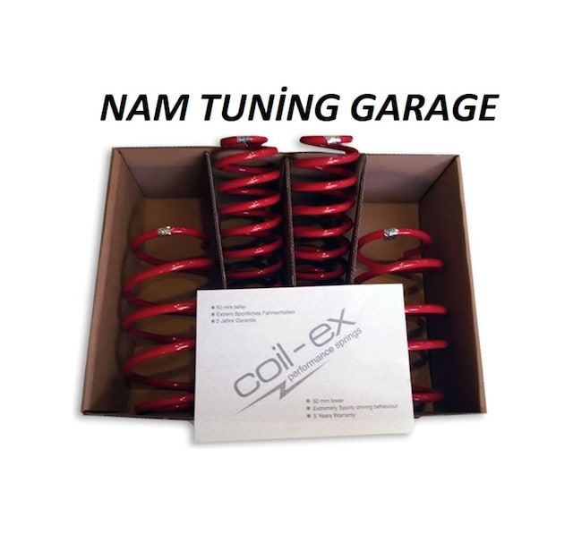 Renault Clio 4 Coil-Ex Spor Yay Helezon 4 Cm N11.1189