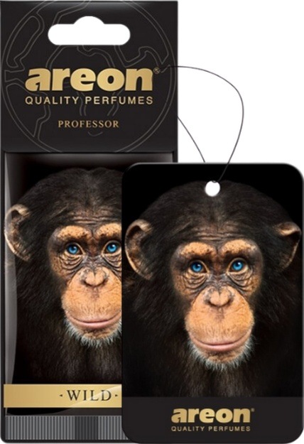 Areon Wild Professor Oto Araç Kokusu