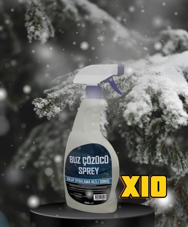 Altınay Kimya Buz Çözücü Sprey 10 x 750 ML