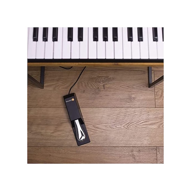 Evrensel Sustain Pedalı, Müzik Aksesuarı
