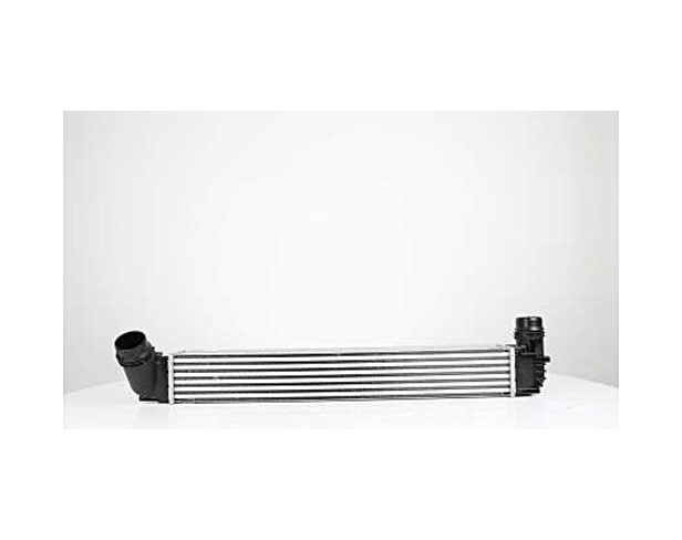 Bsg Turbo Radyatoru Intercooler 655 X 91 X 80 - Megan Iıı / Scenıc Iıı 09-
