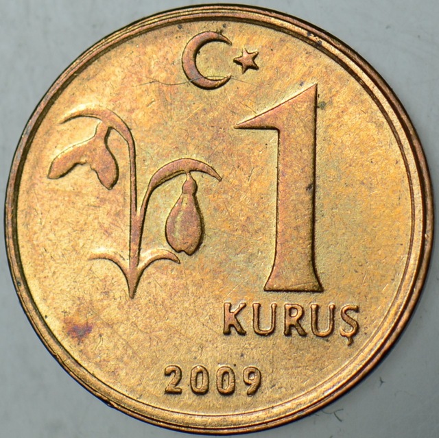 Türkiye Cumhuriyeti 1 Kuruş 2009 Çilaltı.