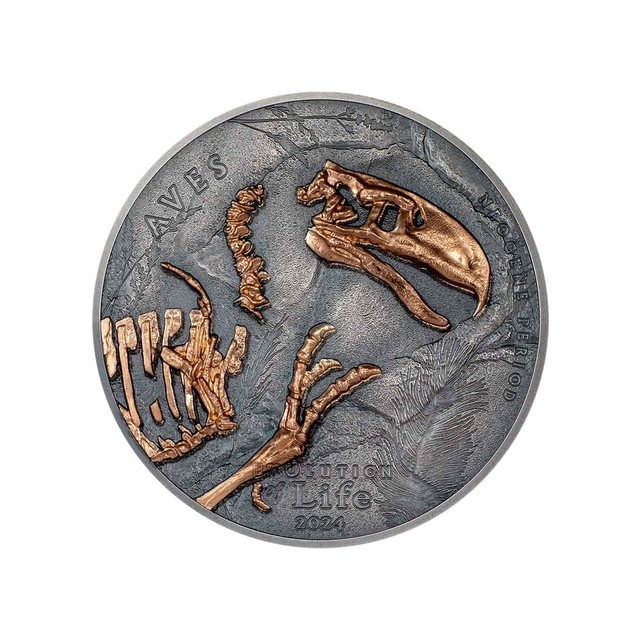Agakulche Nimravidae Evrimi 2024 1 Ons Gümüş Sikke Coin
