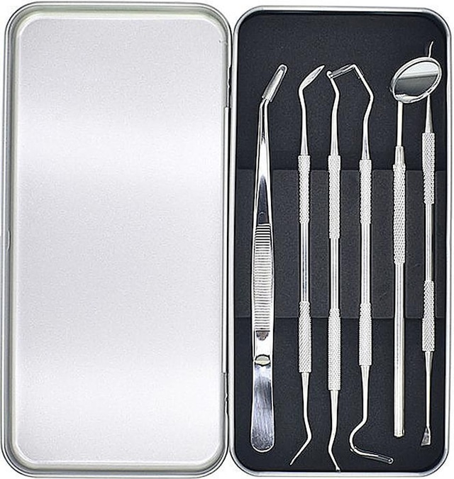 Valkyrie 6 Adet Metal Kutulu Paslanmaz Çelik Diş Tartar Dil Temizleme Dental Ağız Bakım Seti