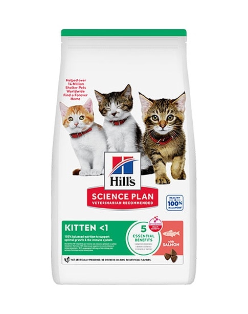 Hills Scıence Plan Kitten Somon Balıklı Yavru Kedi Maması 7 Kg 105-10052.04