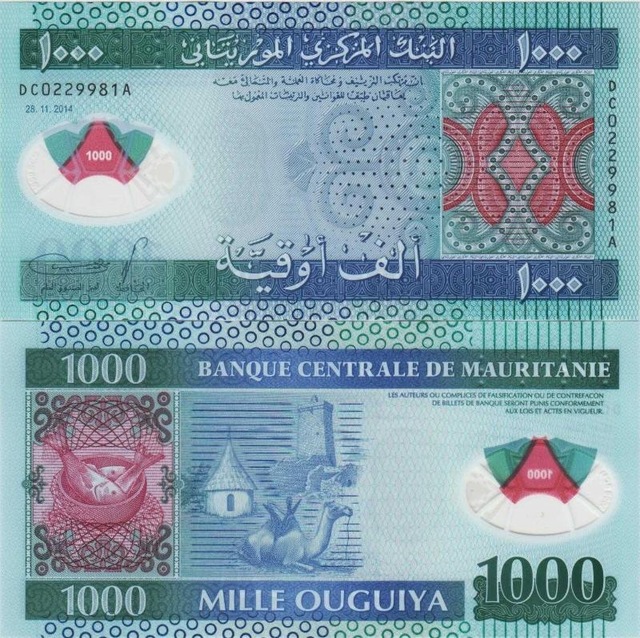 Moritanya 1000 Ouguıya 2014 Polymer. Çil Kondisyon.