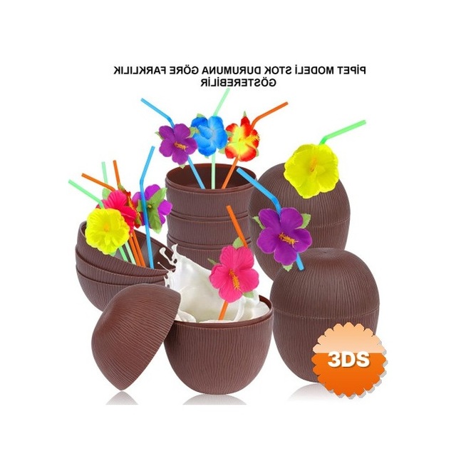 Hindistan Cevizi Hawaii Luau Aloha Pipetli İçecek Kabı 10x13 Cm