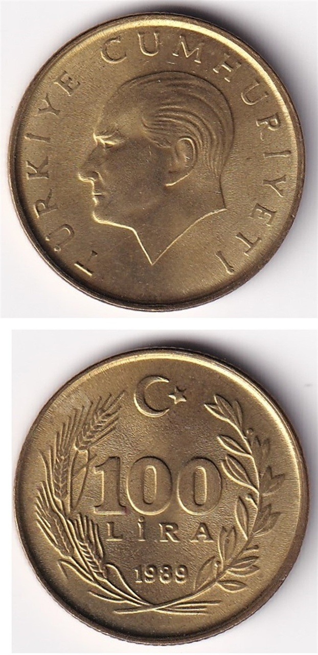 100 Lira 1989 Çil Eski Madeni Para