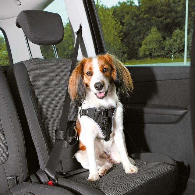 Trixie Köpek Emniyet Kemeri ve Göğüs Tasması S - M: 40-55 CM x 17 MM