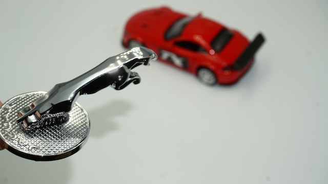 Jaguar Xe Xf Xfl Xj F-pace Krom Metal Vites Panter Kolu