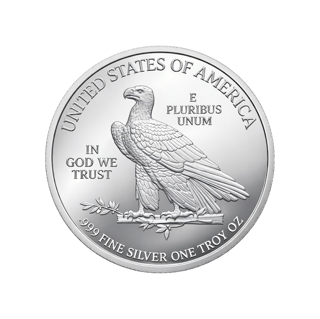 AgaKulche Amerikan Kartalı Gümüş Sikke Coin