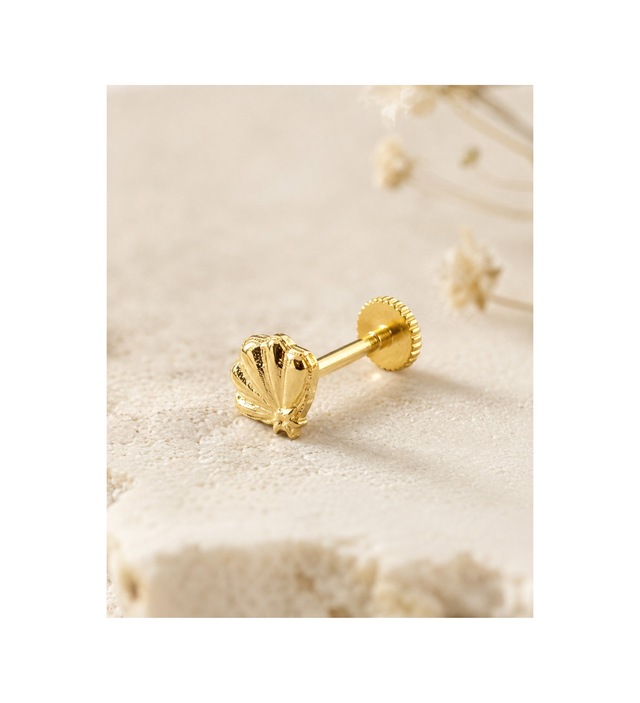 14 Ayar Altın Minimal Deniz Kabuğu Tragus Küpe Vidalı Piercing