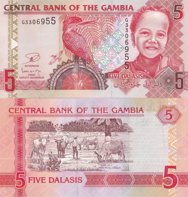 Gambiya 5 Dalasis Yabancı Kağıt Para Çil Unc Koleksiyon Para