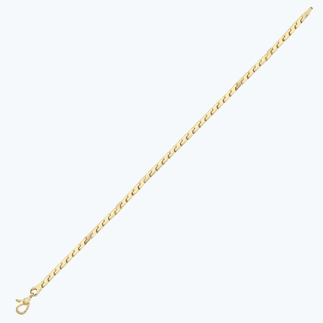 Altınbaş Altın Erkek Zincir Bileklik Abl0218-y-24708 Çok Renkli