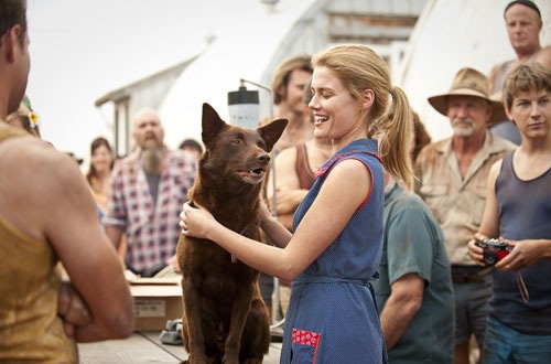 Kirmizi Kopek Red Dog Fiyatlari Ve Ozellikleri