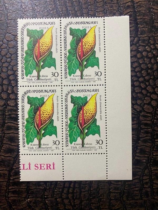 Kktc - Kuzey Kıbrıs Türk Cumhuriyeti Kuzey Kıbrıs 201 - Okucu "arum Discoridis" Northern Cyprus 201 - Arrowhead Alpine "arum Discoridis" Damgasız Mnh 4'lü Blok Pullar