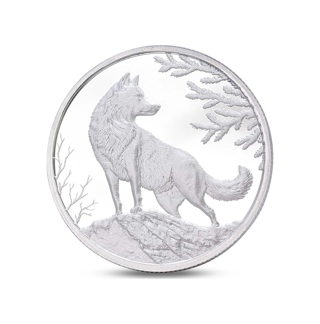 Agakulche Kurt Gümüş Sikke Coin