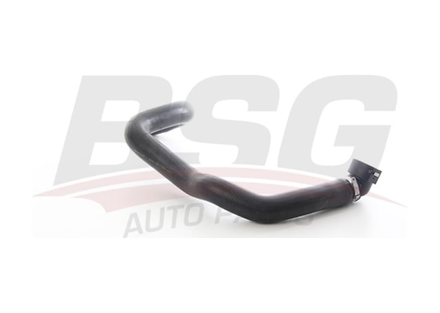 Bsg Radyator Hortumu Alt - Ducato Iıı 06-