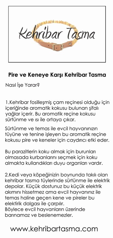 Kehribar Pire Ve Kene Tasmasi Fiyatlari Ve Ozellikleri