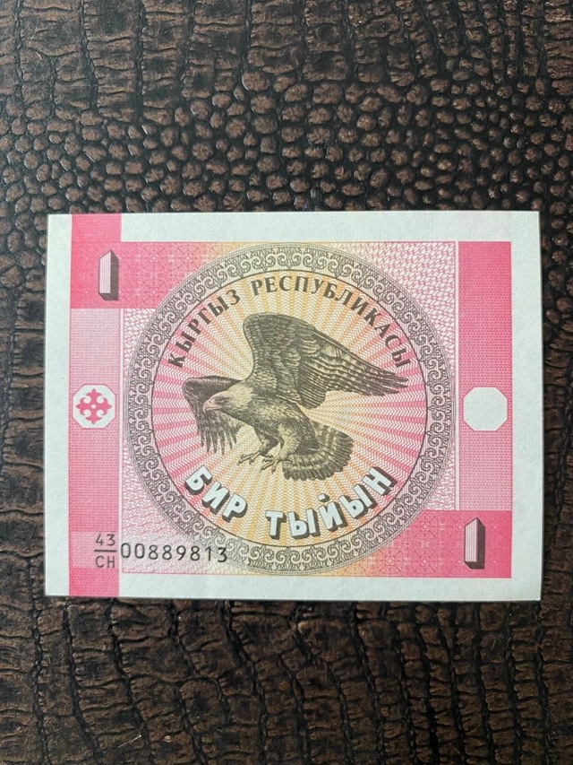 Kırgızistan 1 Tenge Çil