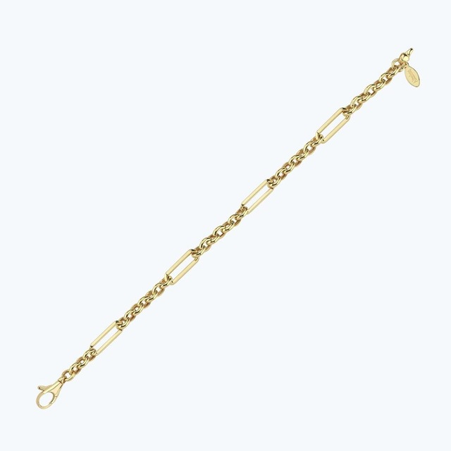 Altınbaş Altın Zincir Bileklik Abl0291-y-25940 Çok Renkli