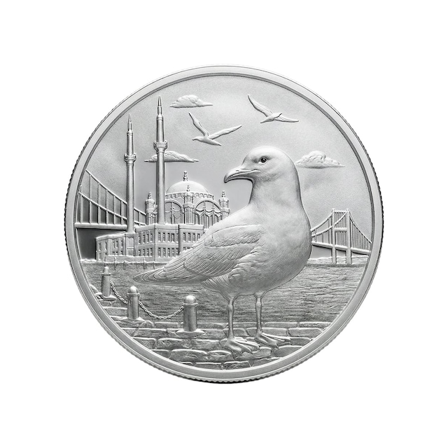 Agakulche İstanbul Martısı Gümüş Sikke Coin