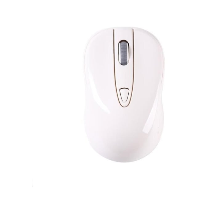 Tm-11 Ergonomik Kablosuz Optik Mouse -