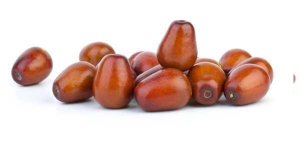 Asili Hunnap Fidani Cesitli Boylarda Fiyatlari Ve Ozellikleri