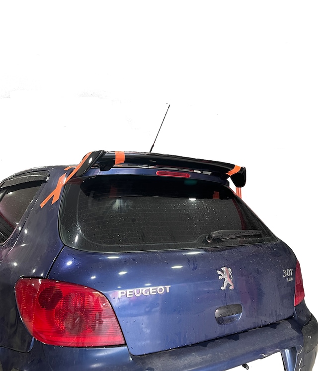 Peugeot 307 2000 - 2009 Üniversal Plastik Spoiler