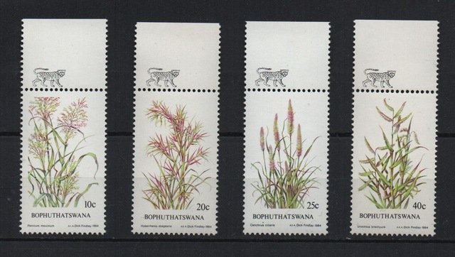 Güney Afrika Bophuthatswana 1984 Yerli Otlar 10-20-25-40 Cent Tam Seri Lt0029b Teşhir Ürün