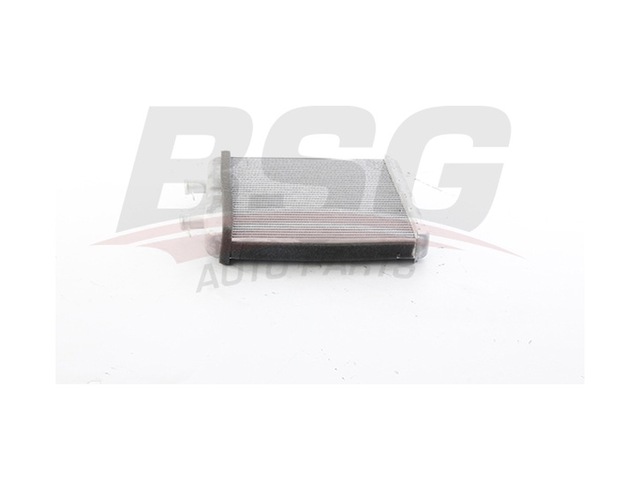 Bsg Kalorıfer Radyatoru Brazıng 220x257x26 - Daıly Iıı-ıv 99-