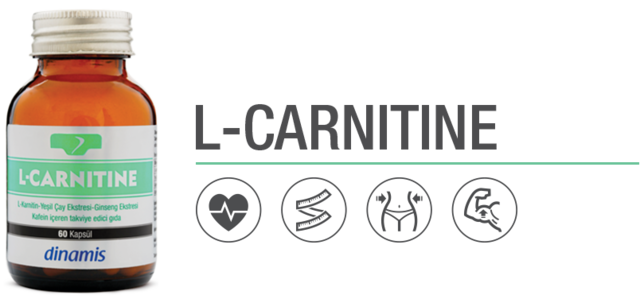 Dinamis L Carnitine Green Tea Ginseng Caffeine 60 Kapsul Fiyatlari Ve Ozellikleri